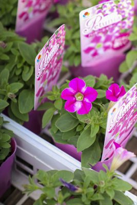 写真 2026-03-19 16 48 32_R_1