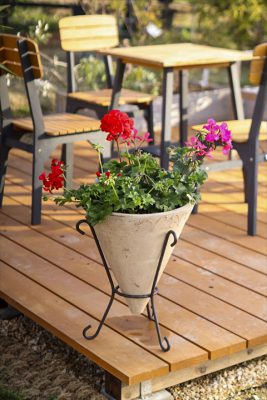 写真 2026-02-28 16 35 10_R_1