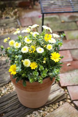 写真 2026-03-08 16 06 02_R_1