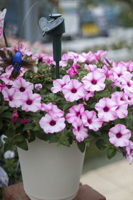 写真 2026-03-25 15 51 12_R_1