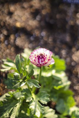 写真 2026-02-28 16 36 35_R_1