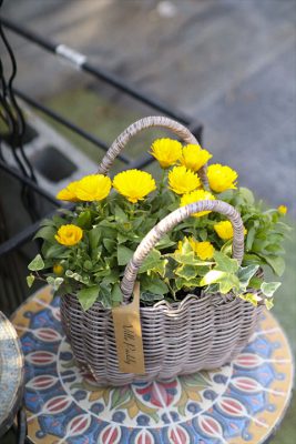 写真 2026-03-20 16 18 17_R_1