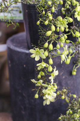 写真 2026-03-17 16 32 49_R_1