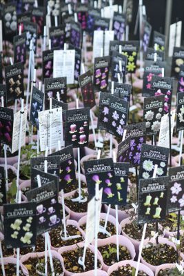 写真 2026-03-14 17 02 10_R_1