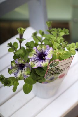 写真 2026-03-04 16 41 17_R_1