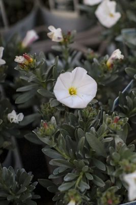 写真 2026-03-19 18 09 40_R_1