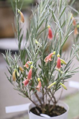 写真 2026-02-27 16 44 17_R_1