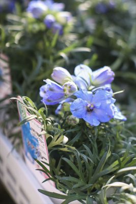 写真 2026-03-26 16 40 19_R_1