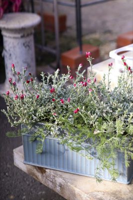 写真 2026-03-01 16 05 04_R_1