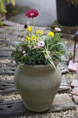 写真 2026-03-09 16 33 29_R_1