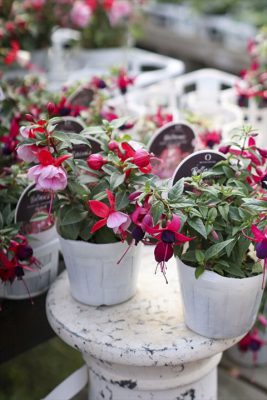 写真 2026-03-29 16 31 58_R_1