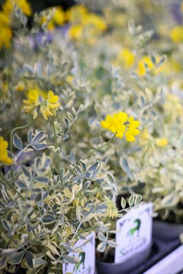 写真 2026-03-06 16 47 30_R_1