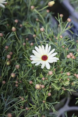 写真 2026-03-04 16 44 09_R_1