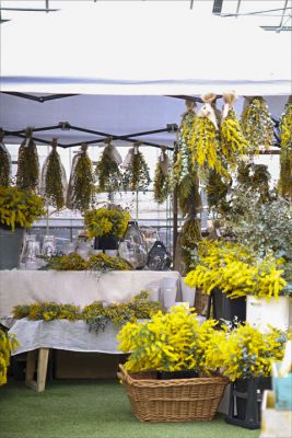 写真 2026-03-06 16 27 12_R_1