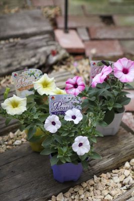 写真 2026-03-29 16 18 50_R_1