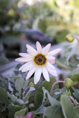 写真 2026-03-01 15 24 56_R_1