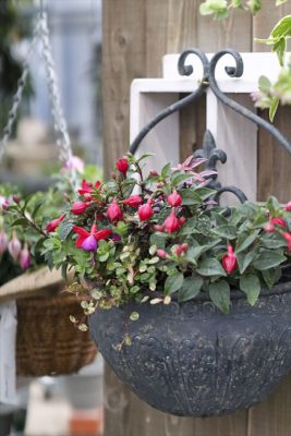 写真 2026-03-25 15 47 20_R_1