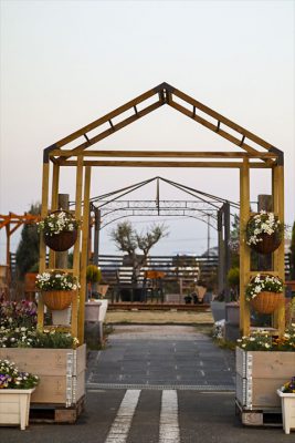 写真 2026-03-19 18 12 37_R_1