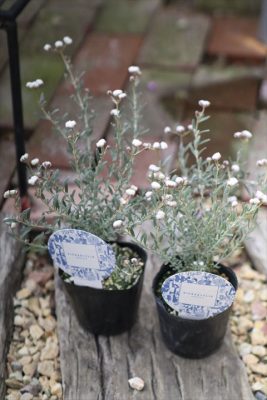 写真 2026-03-29 16 36 57_R_1