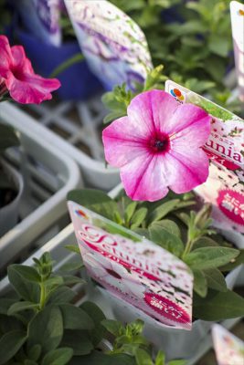 写真 2026-03-19 16 48 22_R_1