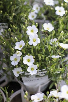 写真 2026-03-14 17 03 42_R_1