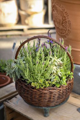 写真 2026-03-12 16 07 43_R_1