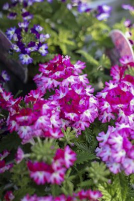 写真 2026-03-26 16 31 44_R_1