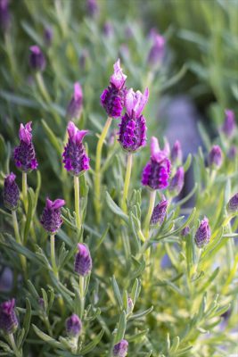 写真 2026-03-11 16 16 52_R_1