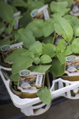 写真 2026-03-14 16 43 06_R_1