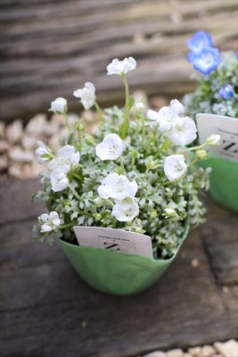 写真 2026-03-01 16 01 01_R_1