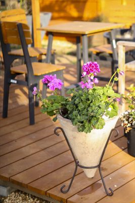 写真 2026-02-28 16 35 35_R_1