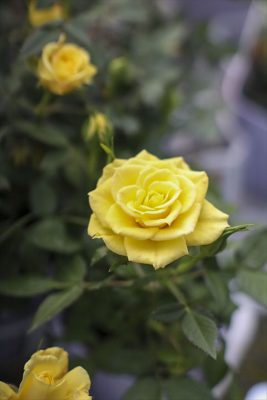 写真 2026-03-04 16 42 45_R_1