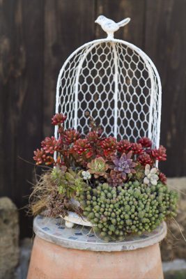 写真 2026-03-17 16 49 05_R_1