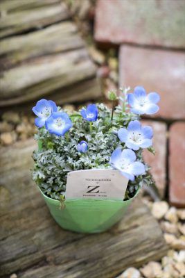 写真 2026-03-01 16 01 26_R_1