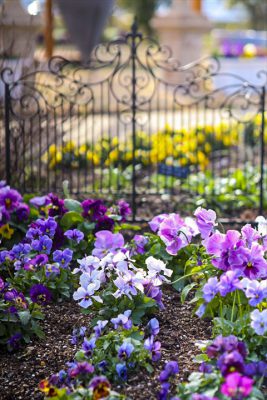 写真 2026-02-26 16 11 34_R_1_1