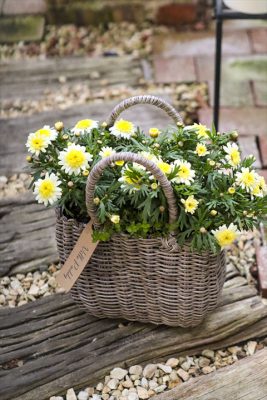 写真 2026-03-17 16 58 42_R_1