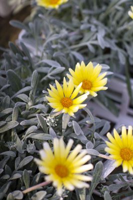 写真 2026-03-27 16 31 46_R_1