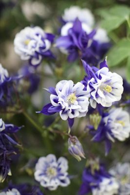 写真 2026-03-23 17 39 24_R_1