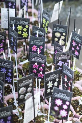 写真 2026-03-14 17 02 43_R_1