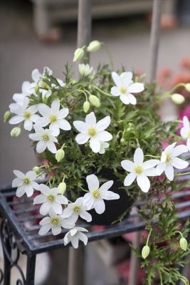 写真 2026-03-23 7 14 50_R_1