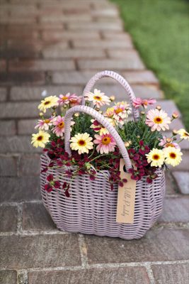 写真 2026-03-17 16 54 57_R_1