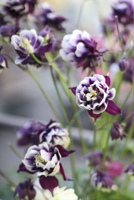 写真 2026-03-23 17 39 50_R_1