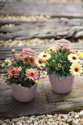 写真 2026-03-08 15 44 21_R_1