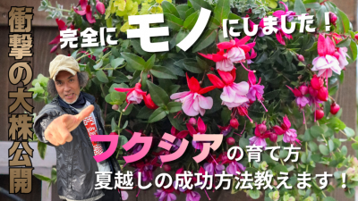 完全にモノにしました！