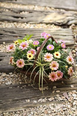 写真 2026-03-12 16 06 14_R_1