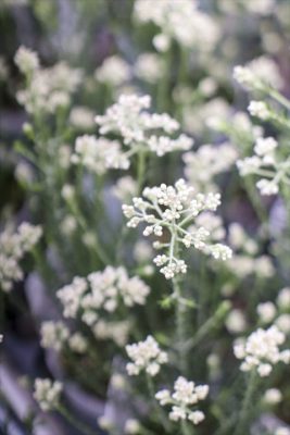 写真 2026-03-08 16 17 29_R_1