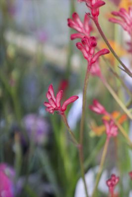 写真 2026-03-23 17 37 07_R_1