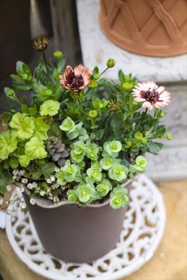 写真 2026-03-03 16 09 31_R_1