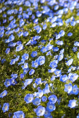 写真 2026-03-20 16 51 03_R_1