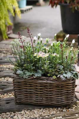 写真 2026-03-08 16 10 27_R_1